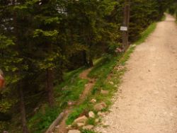 2013-08-18_Schachenhaus (1007).JPG